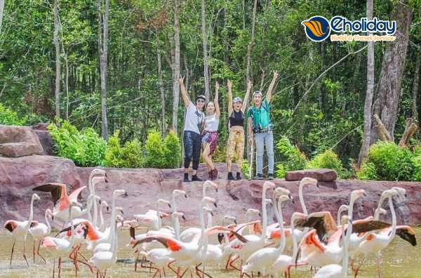 Vinpearl Safari Phú Quốc 6