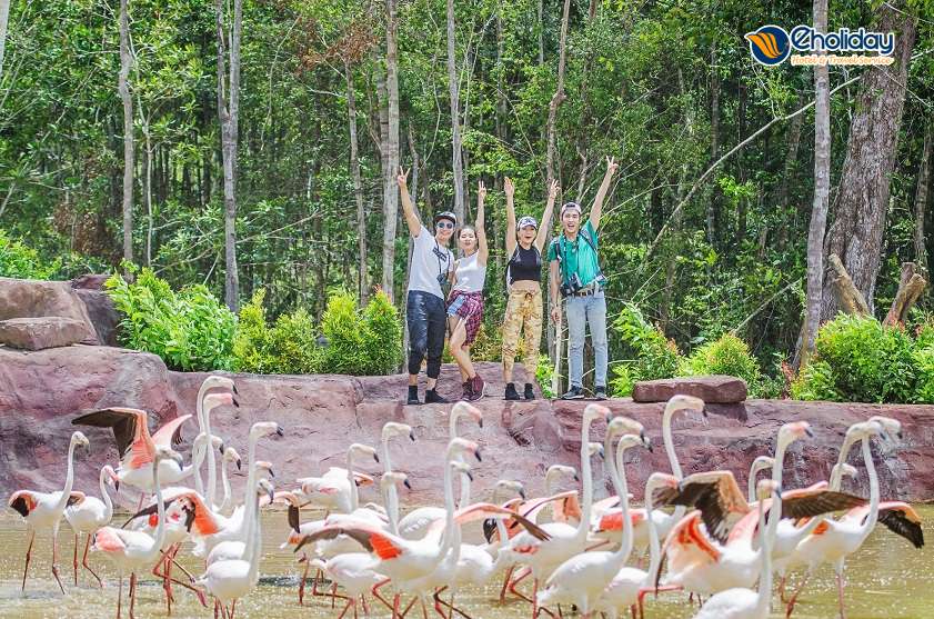 Vinpearl Safari Phú Quốc 6