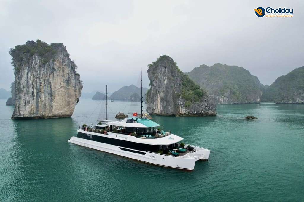 Du Thuyền Catamaran Hạ Long 11