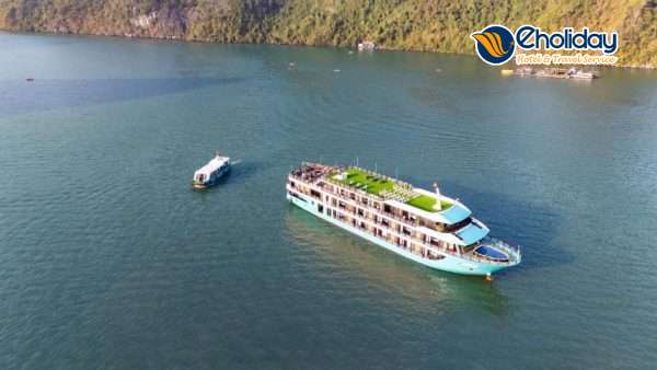 Du Thuyền Dragon Bay Premium 6