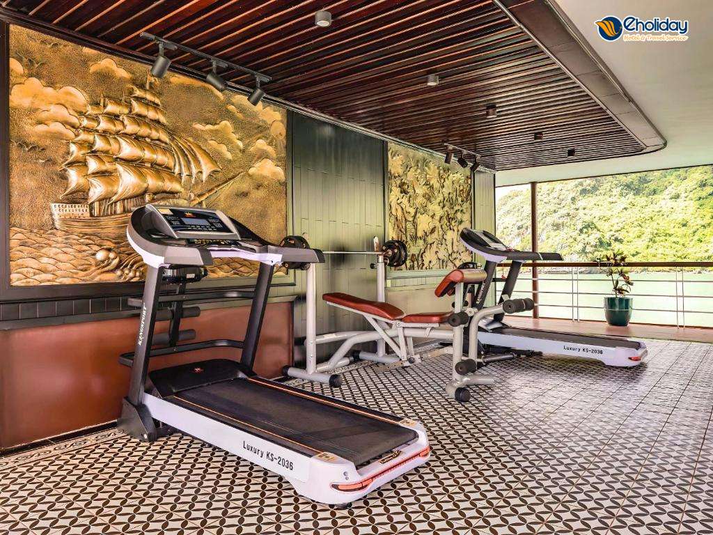 Du Thuyền Le Journey Elegance Lan Hạ Phòng Gym