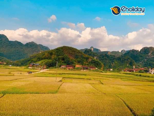 Homestay Cánh Đồng Vàng Ninh Bình 10