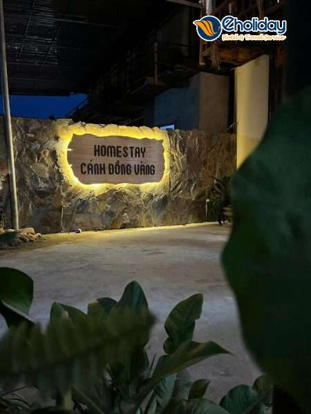 Homestay Cánh Đồng Vàng Ninh Bình 3