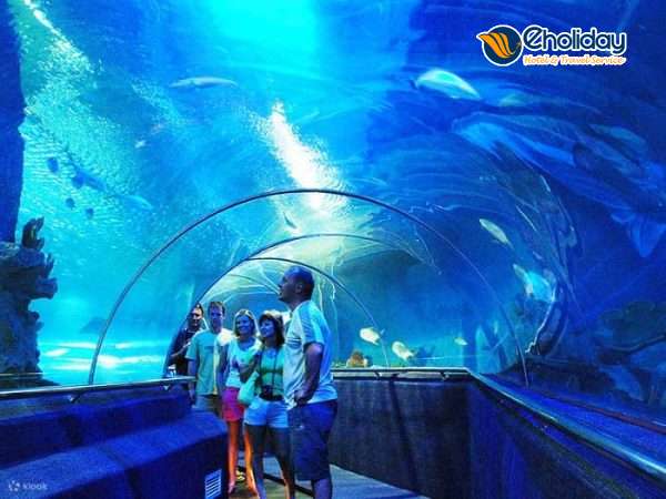 Paradise Resort Nha Trang Thủy Cung Trí Nguyên