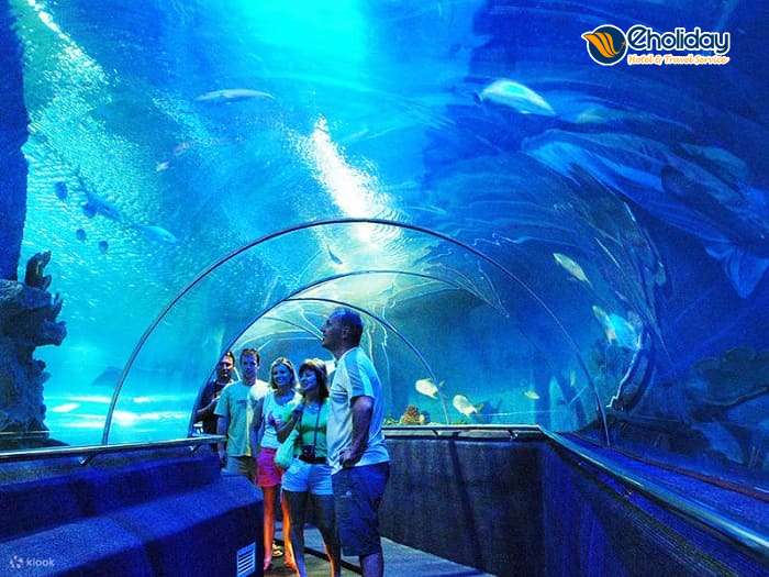 Paradise Resort Nha Trang Thủy Cung Trí Nguyên