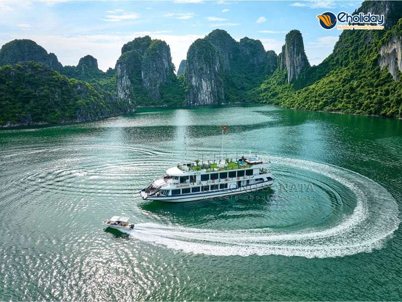 Du Thuyền Sonata Hạ Long Sonata Overview 3