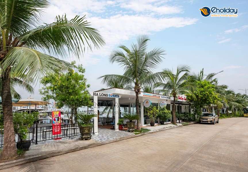 Halong Sonata Pickup Point2