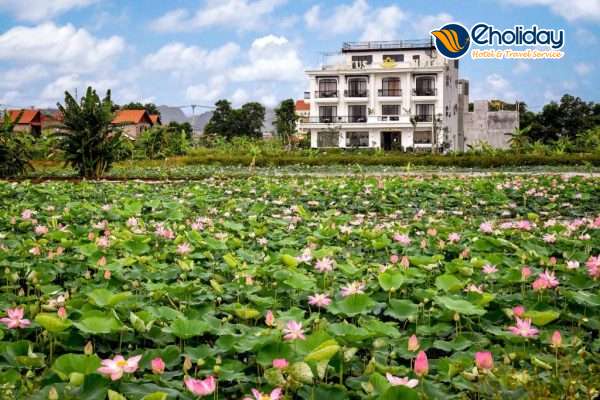 Villa Hành Cung Ninh Bình 10 Phòng Ngủ Có Bể Bơi 3