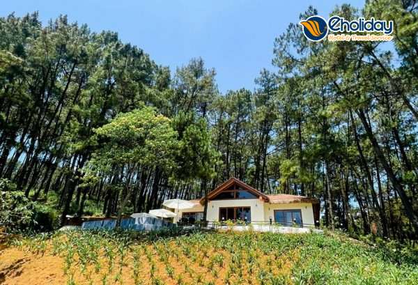 Villa Hồ Đồng Chương Ninh Bình 3 Phòng Ngủ Có Bể Bơi Riêng