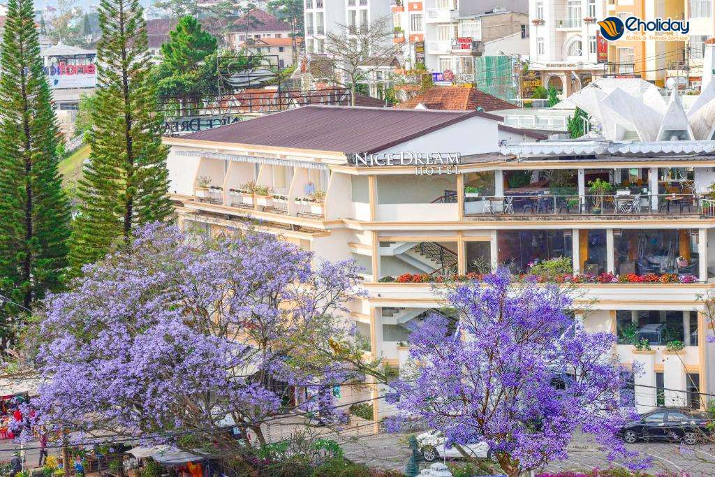 Khách Sạn Nice Dream Đà Lạt 5
