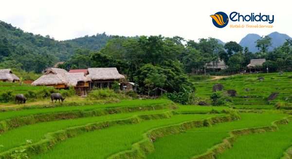 Pù Luông Valley Home 8