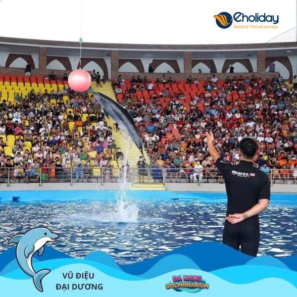 Vé Show Cá Heo Đà Nẵng 3