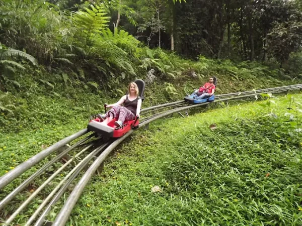 Vé Khu Du Lịch Thác Đamb'ri Bảo Lộc 3