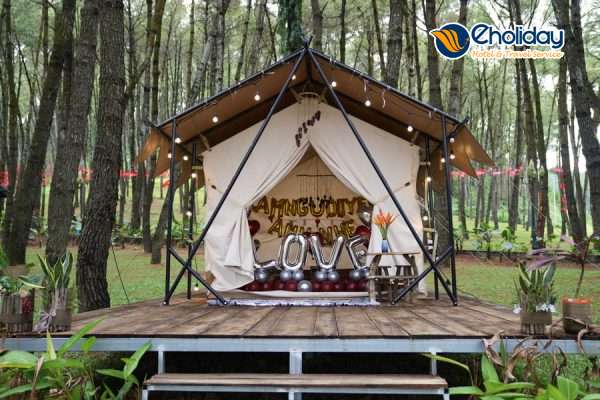 Green Pine Camp Ninh Bình 8