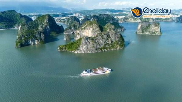 Tour Ăn Tối Trên Du Thuyền Dolphin Beach Club Hạ Long 16