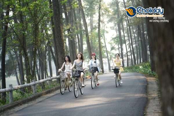 Vé Tham Quan Đồi Thông Hồ Đồng Chương 13