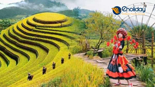 Du Lich Sapa Ban Cat Cat Ham Rong Fansipan 3n2d 6694940df3b49 848x477